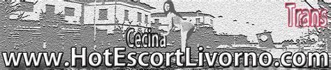 escort trans cecina|Trans Cecina, Annunci Top Trans e Transex